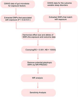 A Mendelian randomization investigation of the causal association between the gut microbiota and sleep disorders